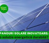 Innovative solar panels: a sustainable energy solution?