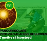 Solar panels for a successful business: 7 reasons to invest