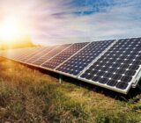 Solar panels for your business, profitable or not?