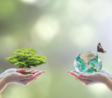 5 actions to become sustainable