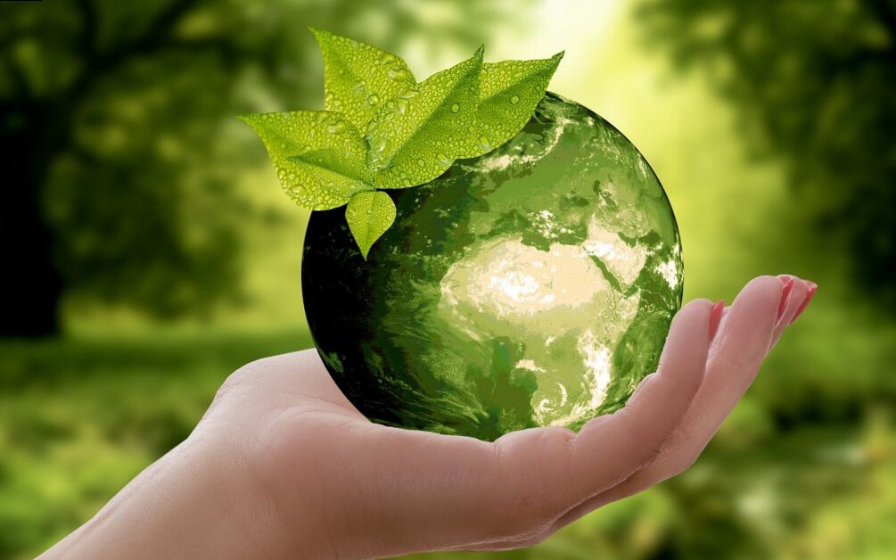 5 actions to become sustainable