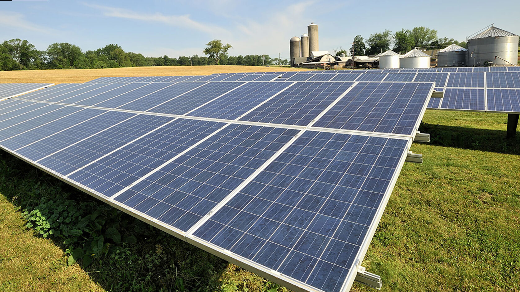 Solar farming: a profitable combination of panels and crops
