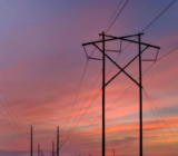 Suppliers of last resort in the electricity sector
