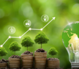 the strategic evolution of the green energy economy
